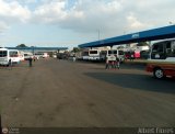 Garajes Paradas y Terminales Maracay, por Albert Flores
