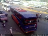 Transporte Bonanza 0010