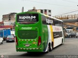 Expreso Internacional Palomino 7047 por Leonardo Saturno