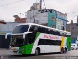 Expreso Internacional Palomino 7045