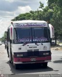 Transporte La Villa 14