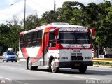 Coop. Transporte Menca de Leoni 063