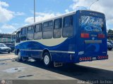 A.C.C. Turgar 96 por Jos� Miguel Toch�n