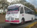 A.C. Portuguesa 71, por Alvin Rondn