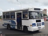 ZU - Colectivo Pomona 33, por Sebastin Mercado
