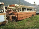 Instituto Municipal de Transporte Colectivo IMTC-T90 Wayne Type 90 Chevrolet Vikingo