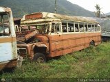 Instituto Municipal de Transporte Colectivo IMTC-T90, por Edgardo Gonzlez