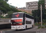Los Pjaros de Lara 007, por Alvin Rondon