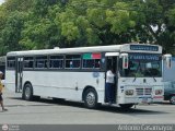 Transporte Bonanza 0018