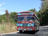 Colectivos Transporte Maracay C.A. 24