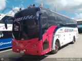 Expreso Almirante Padilla S.A. - EXALPA 8085