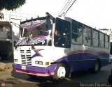 Transporte Privado Joaranny 195