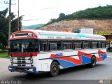 Transporte Valpo 19