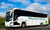 Turismos 439