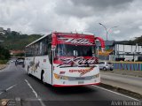 Ejecutivos Kova 055 por Alvin Rond�n