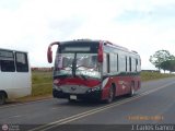 Ruta Urbana de Ciudad Bolvar-BO 001