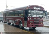 Particular Niobus