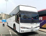 Expresos Pegamar 1038