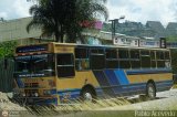 Transporte Privado Joaranny 186