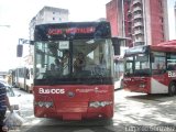 Bus CCS 1026, por Edgardo Gonzlez