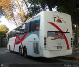 Cruceros Oriente Sur 159, por Waldir Mata