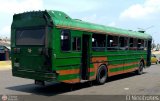 Colectivo Matera Nueva 05