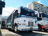 A.C. de Transporte N�mero Uno R.L. 024 por Gabriel Vergara