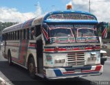 Colectivos Altagracia 14