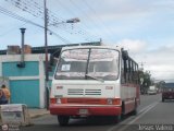 Particular o Transporte de Personal 45