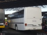 A.C. de Transporte Encarnacin 308