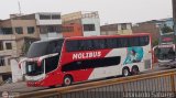 Transportes y Servicios Molibus (Per) 766, por Leonardo Saturno