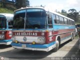 Transporte Las Delicias C.A. 39