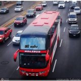 Transportes y Servicios Molibus (Per) 958