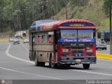 Colectivos Transporte Maracay C.A. 52