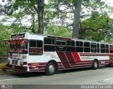 Transporte Colectivo Camag 14