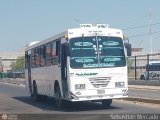 Colectivos La Rosita 007