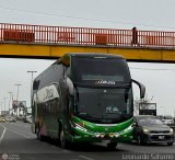 Oltursa (Per) 2512