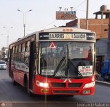 Lnea Peruana de Transportes S.A. (Per) 071, por Leonardo Saturno