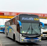 E.T. Maleo VIP (Per) 956