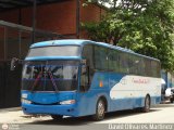 Cruceros Oriente Sur 101, por David Olivares Martinez