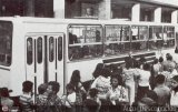 Instituto Municipal de Transporte Colectivo IMTC-IK260 Ikarus 260 Man Raba D 2156 HM6U