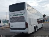 Expresos Flamingo 0141