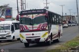 Unin Lnea Alberto Adriani C.A. 24 Intercar Seboruco Turismo Iveco Tector 170E22T EuroCargo
