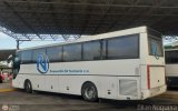 Responsable de Venezuela 0150 Man Lions Star Man RH403