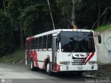 A.C. de Transporte Encarnacin 351