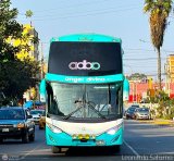 Tours Angel Divino S.A.C. (Per) 955