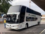 Expresos Flamingo 141