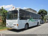 Venezolana de Aviacin - RAVSA 45 Fanabus KingWay Mercedes-Benz OH-1418