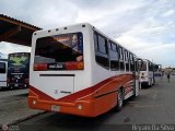 Lnea Tocar S.C. 42