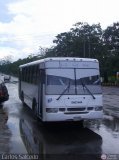 A.C. de Transporte Encarnacin 353